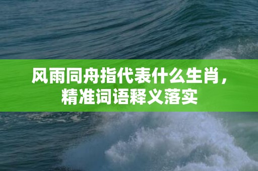 风雨同舟指代表什么生肖，精准词语释义落实