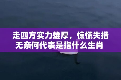 走四方实力雄厚，惊慌失措无奈何代表是指什么生肖 、标准成语落实释义