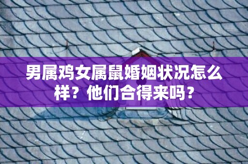 男属鸡女属鼠婚姻状况怎么样？他们合得来吗？