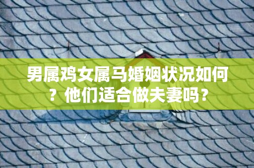 男属鸡女属马婚姻状况如何？他们适合做夫妻吗？