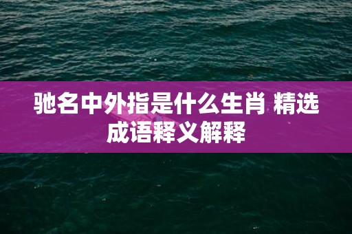 驰名中外指是什么生肖 精选成语释义解释