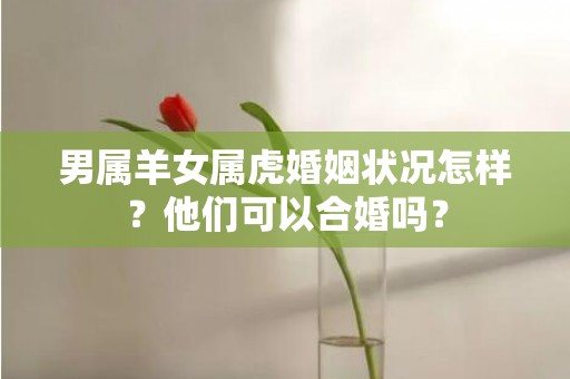 男属羊女属虎婚姻状况怎样？他们可以合婚吗？
