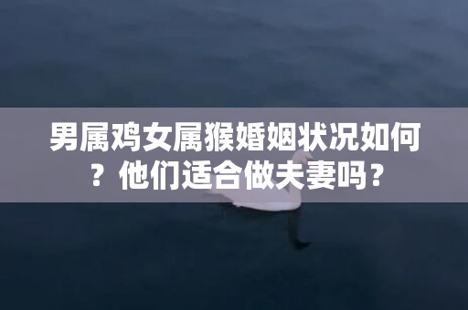 男属鸡女属猴婚姻状况如何？他们适合做夫妻吗？