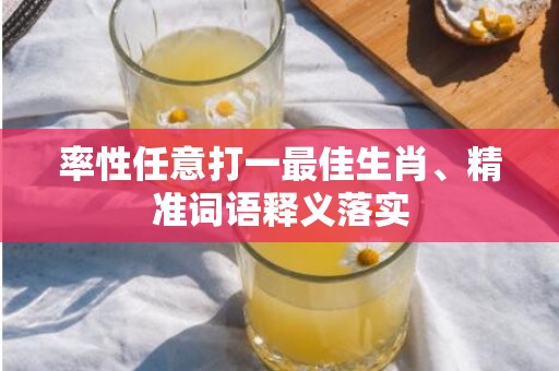 率性任意打一最佳生肖、精准词语释义落实