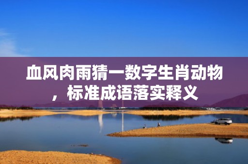 血风肉雨猜一数字生肖动物，标准成语落实释义