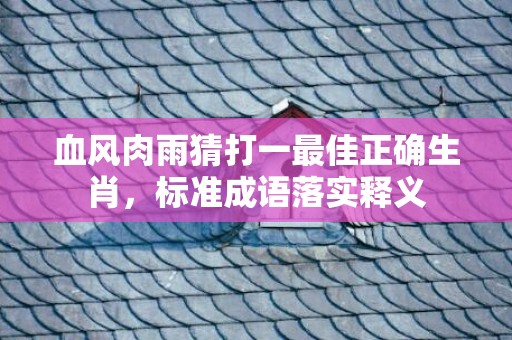 血风肉雨猜打一最佳正确生肖，标准成语落实释义