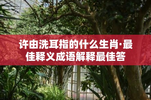 许由洗耳指的什么生肖·最佳释义成语解释最佳答