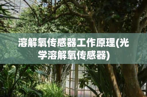 溶解氧传感器工作原理(光学溶解氧传感器)