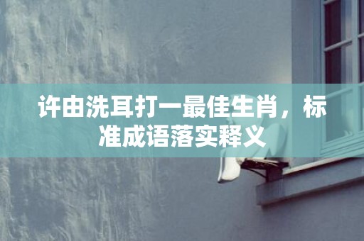 许由洗耳打一最佳生肖，标准成语落实释义