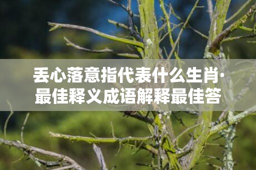 丢心落意指代表什么生肖·最佳释义成语解释最佳答