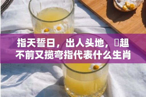 指天誓日，出人头地，趦趄不前又揽弯指代表什么生肖，精准词语释义落实