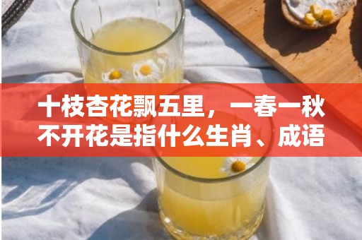 十枝杏花飘五里，一春一秋不开花是指什么生肖、成语释义落实解释