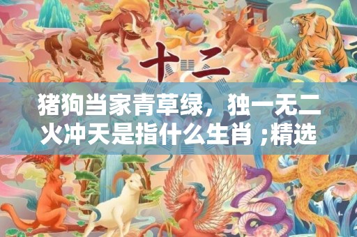 猪狗当家青草绿，独一无二火冲天是指什么生肖 ;精选成语释义解释
