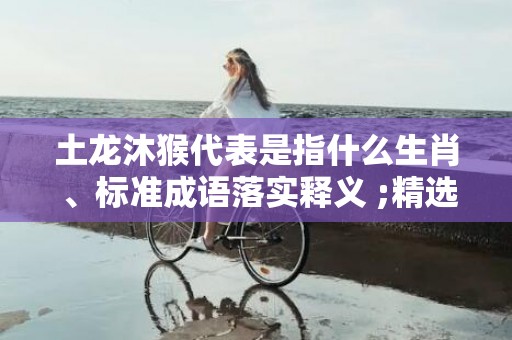 土龙沐猴代表是指什么生肖 、标准成语落实释义 ;精选成语释义解释