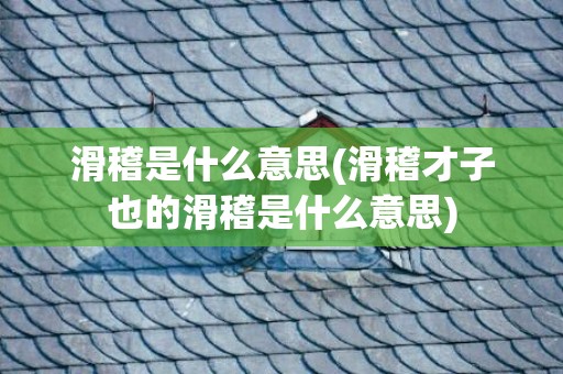 滑稽是什么意思(滑稽才子也的滑稽是什么意思)