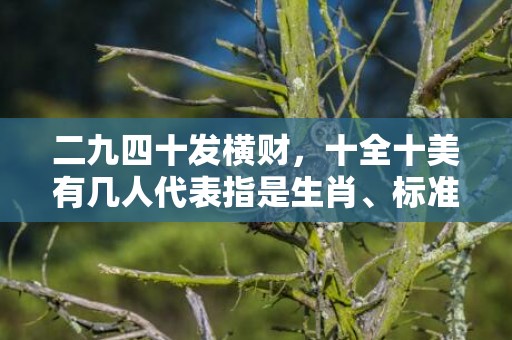 二九四十发横财，十全十美有几人代表指是生肖、标准成语落实释义