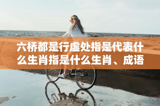 六桥都是行虚处指是代表什么生肖指是什么生肖、成语释义落实解释