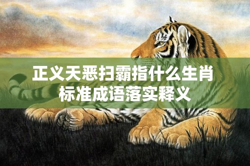正义天恶扫霸指什么生肖 标准成语落实释义