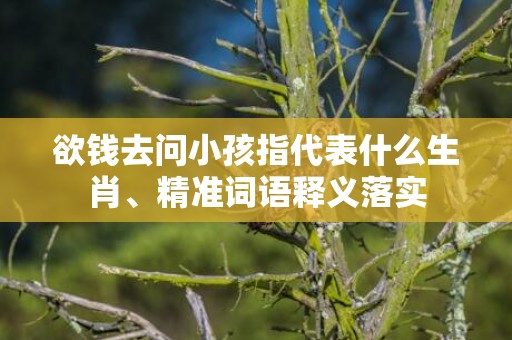 欲钱去问小孩指代表什么生肖、精准词语释义落实