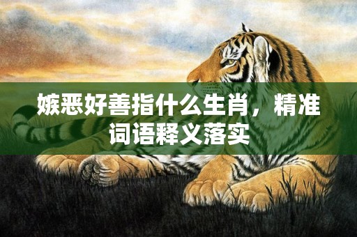 嫉恶好善指什么生肖，精准词语释义落实