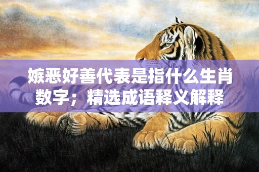 嫉恶好善代表是指什么生肖数字；精选成语释义解释