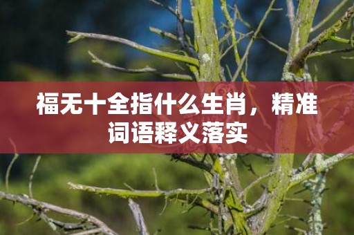 福无十全指什么生肖，精准词语释义落实