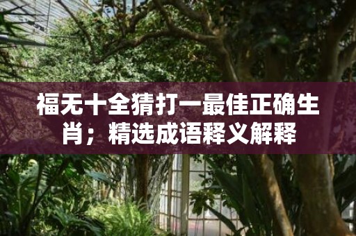 福无十全猜打一最佳正确生肖；精选成语释义解释