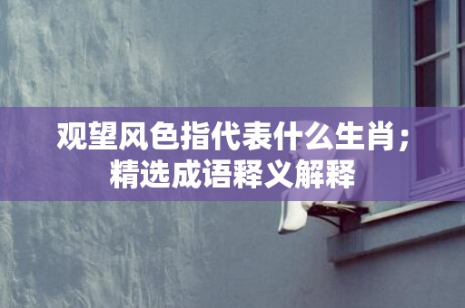 观望风色指代表什么生肖；精选成语释义解释
