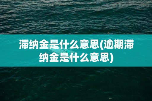 滞纳金是什么意思(逾期滞纳金是什么意思)
