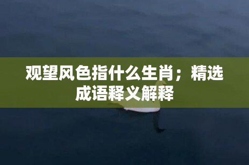 观望风色指什么生肖；精选成语释义解释