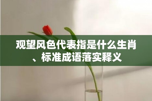 观望风色代表指是什么生肖、标准成语落实释义