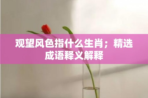 观望风色指什么生肖；精选成语释义解释
