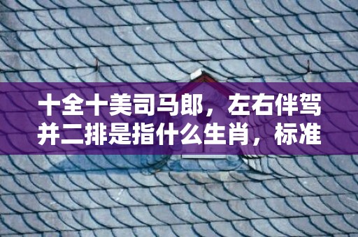 十全十美司马郎，左右伴驾并二排是指什么生肖，标准成语落实释义