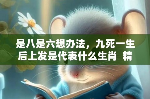 是八是六想办法，九死一生后上发是代表什么生肖  精选成语释义解释