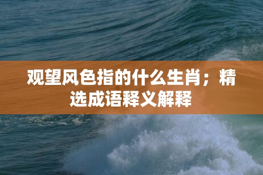 观望风色指的什么生肖；精选成语释义解释