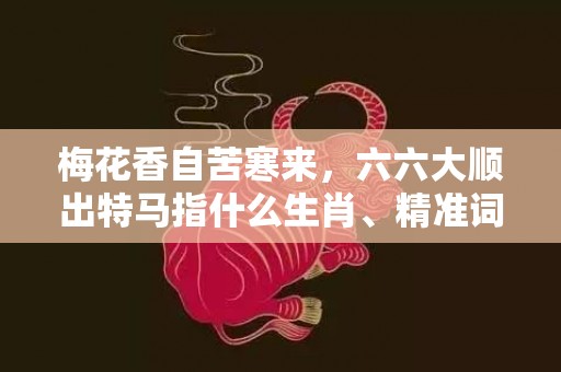 梅花香自苦寒来，六六大顺出特马指什么生肖、精准词语释义落实
