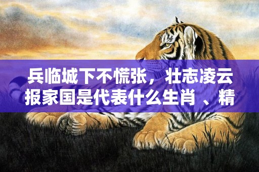 兵临城下不慌张，壮志凌云报家国是代表什么生肖 、精准词语释义落实