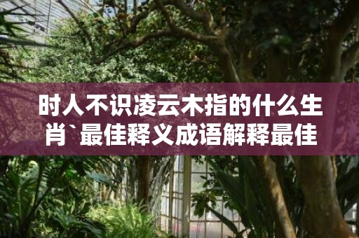 时人不识凌云木指的什么生肖`最佳释义成语解释最佳答