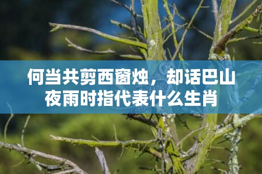 何当共剪西窗烛，却话巴山夜雨时指代表什么生肖