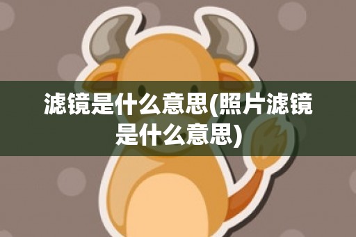 滤镜是什么意思(照片滤镜是什么意思)