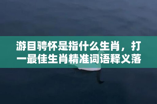 游目骋怀是指什么生肖，打一最佳生肖精准词语释义落实