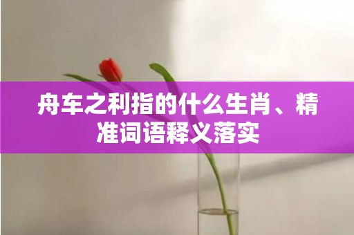 舟车之利指的什么生肖、精准词语释义落实