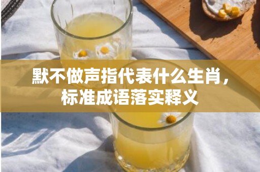 默不做声指代表什么生肖，标准成语落实释义