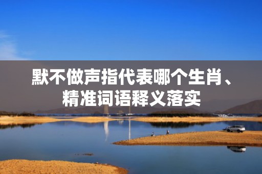 默不做声指代表哪个生肖、精准词语释义落实
