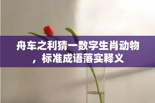 舟车之利猜一数字生肖动物，标准成语落实释义