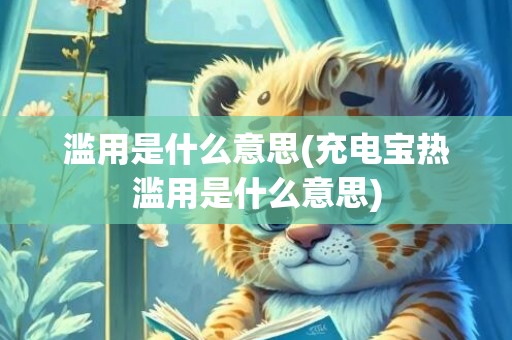 滥用是什么意思(充电宝热滥用是什么意思)