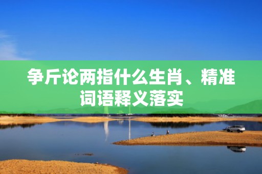 争斤论两指什么生肖、精准词语释义落实