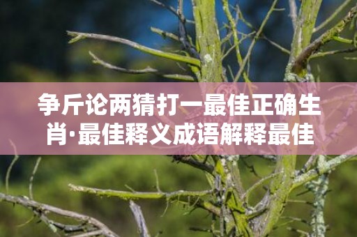争斤论两猜打一最佳正确生肖·最佳释义成语解释最佳答