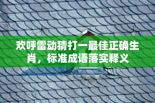 欢呼雷动猜打一最佳正确生肖，标准成语落实释义