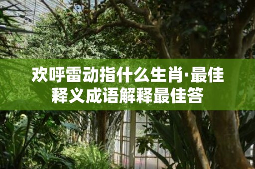 欢呼雷动指什么生肖·最佳释义成语解释最佳答